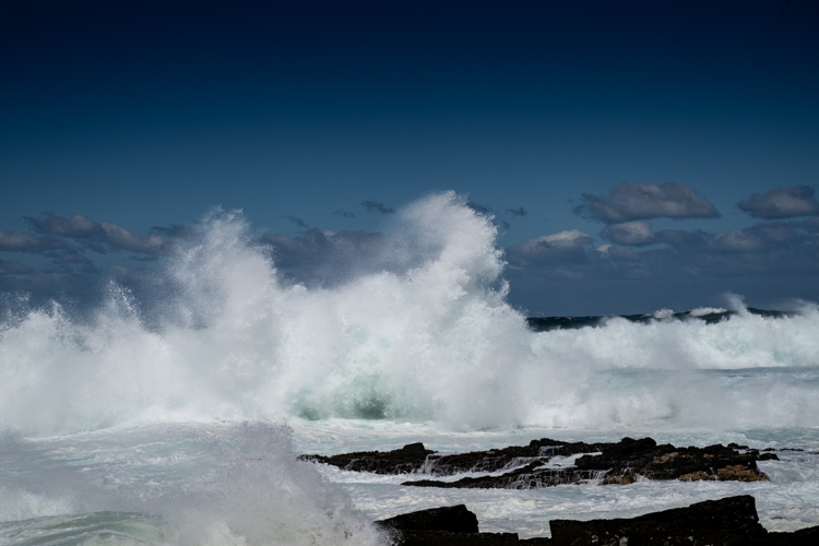 DSC_4779.jpg