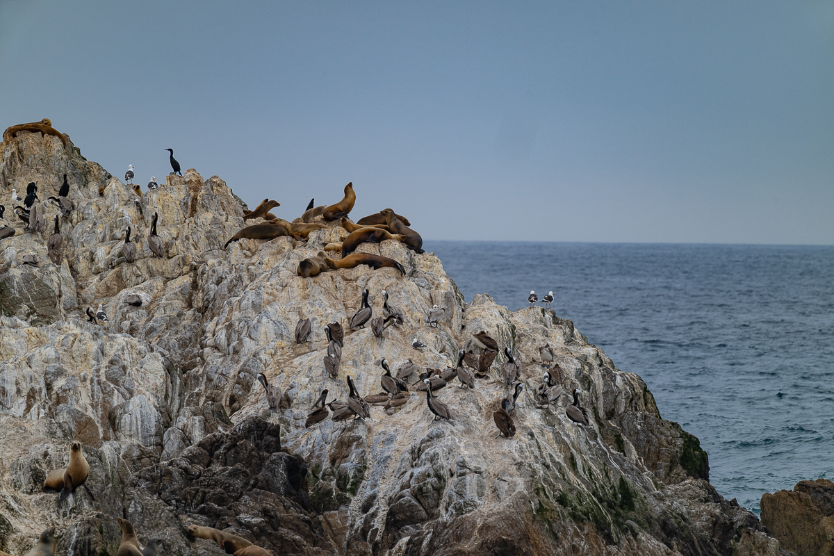 DSC_4789.jpg
