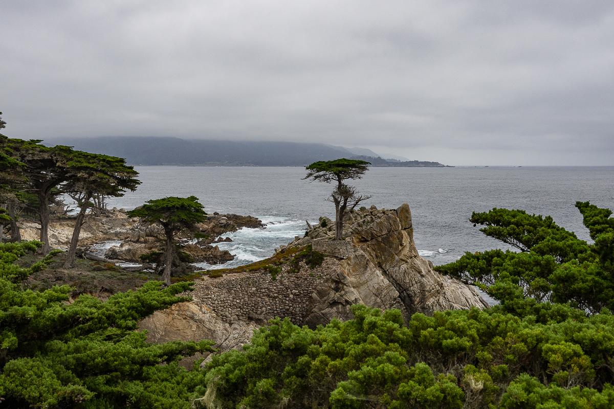 DSC_4799.jpg