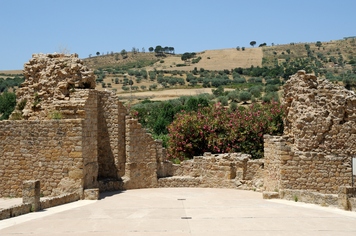 DSC_4822.jpg