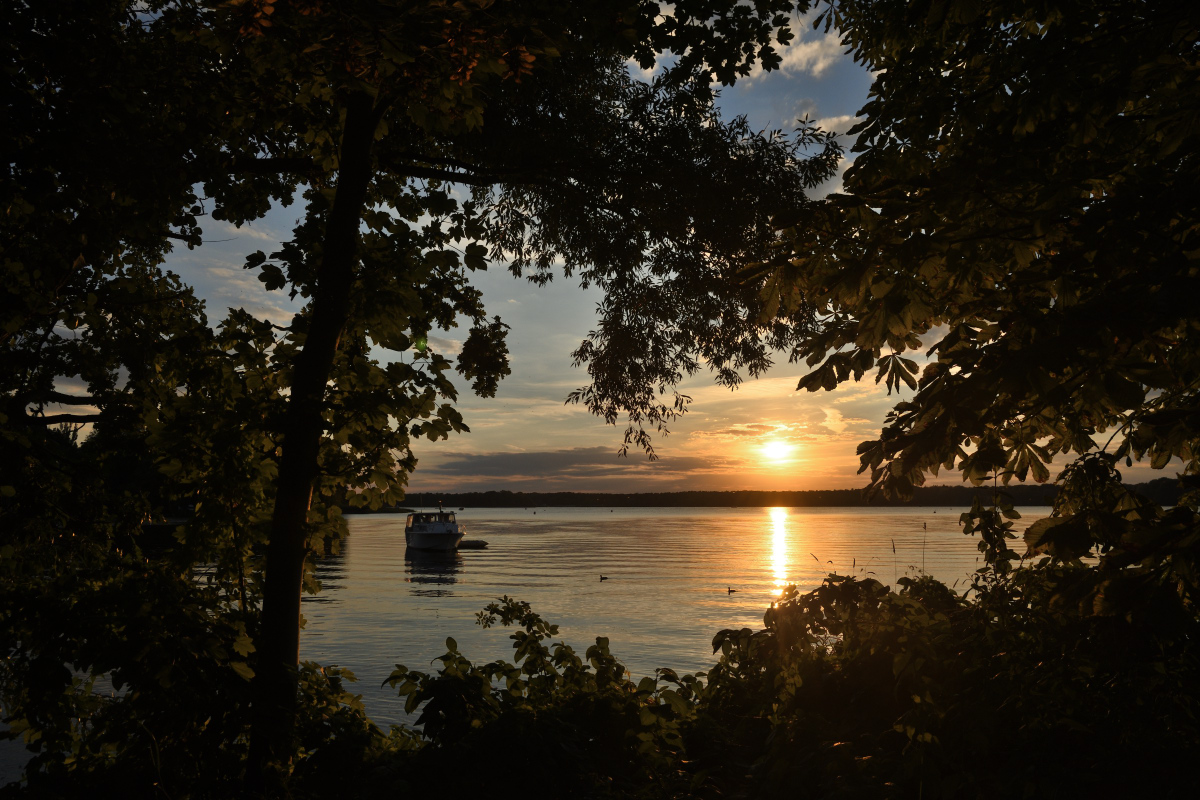 DSC_4876.JPG