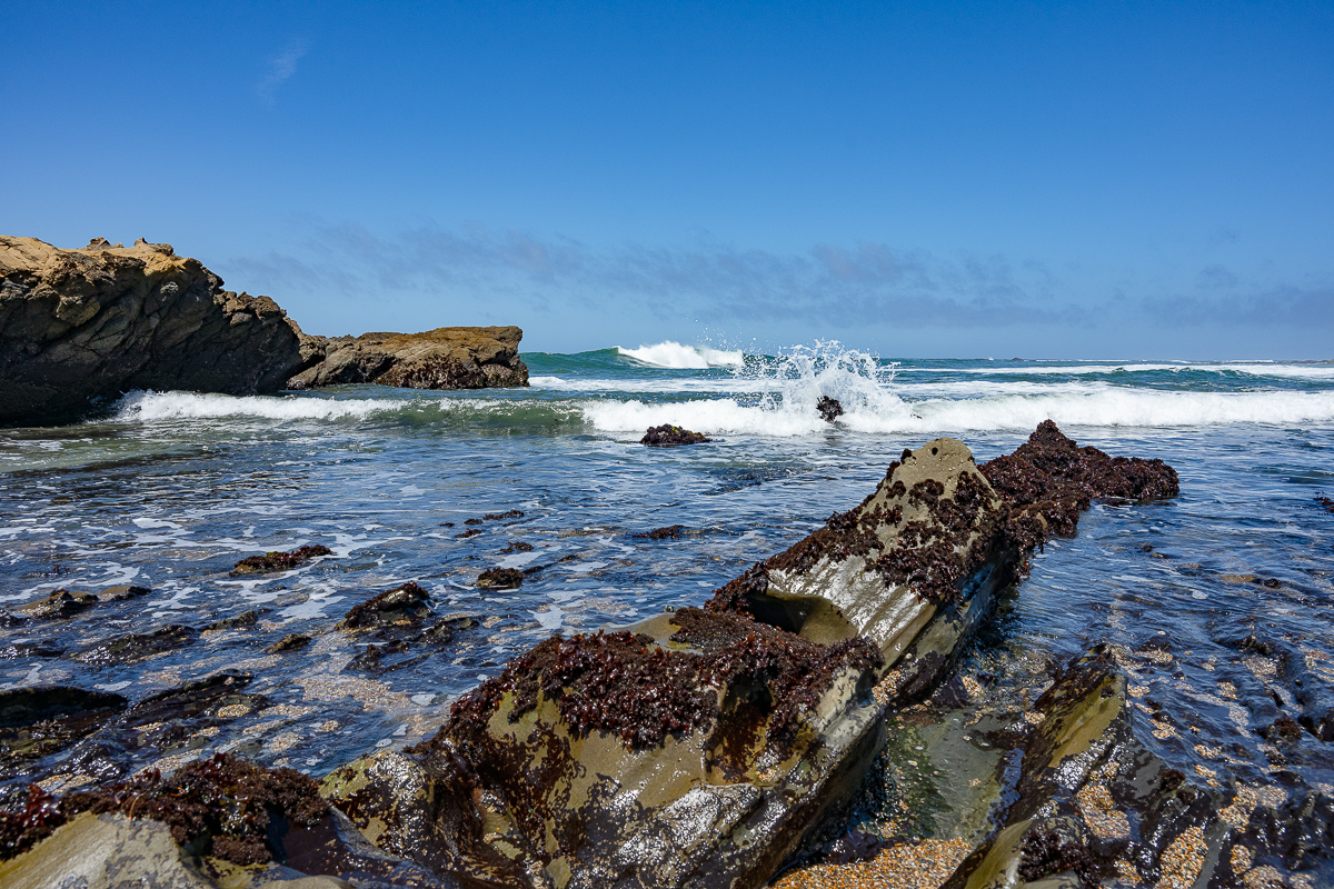 DSC_4883.jpg