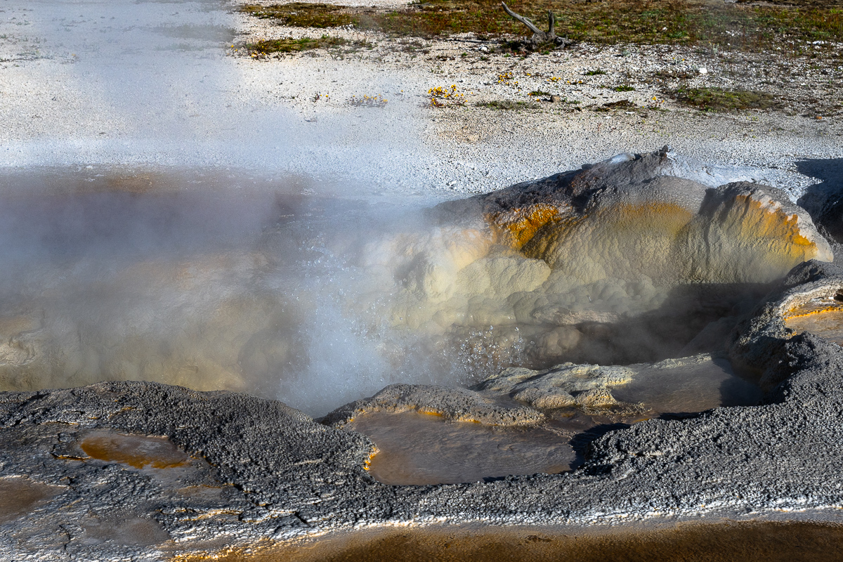 DSC_4916.jpg