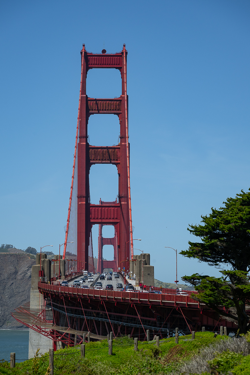 DSC_4918.jpg