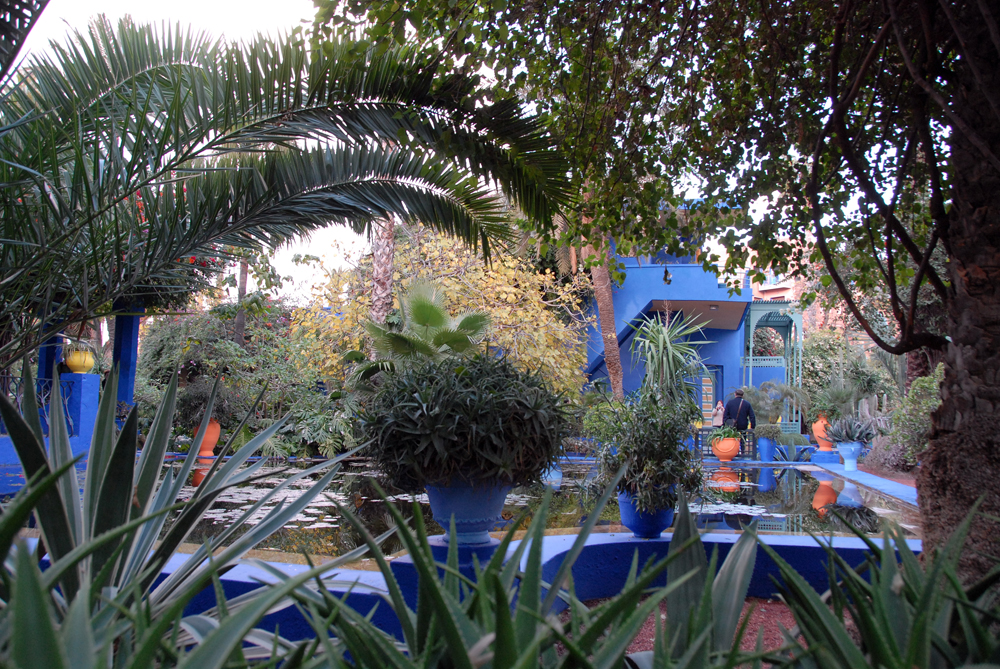DSC_4922.jpg