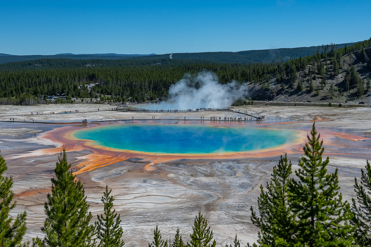 DSC_4941.jpg