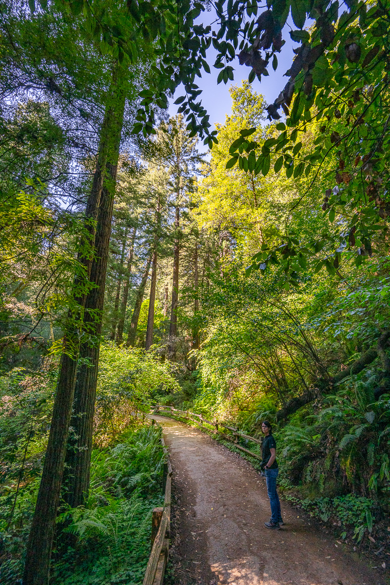 DSC_4953.jpg