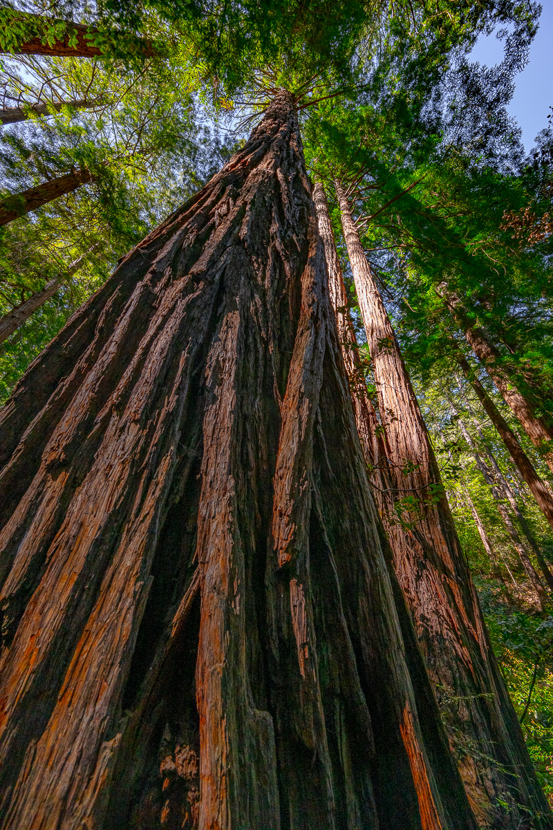 DSC_4954.jpg