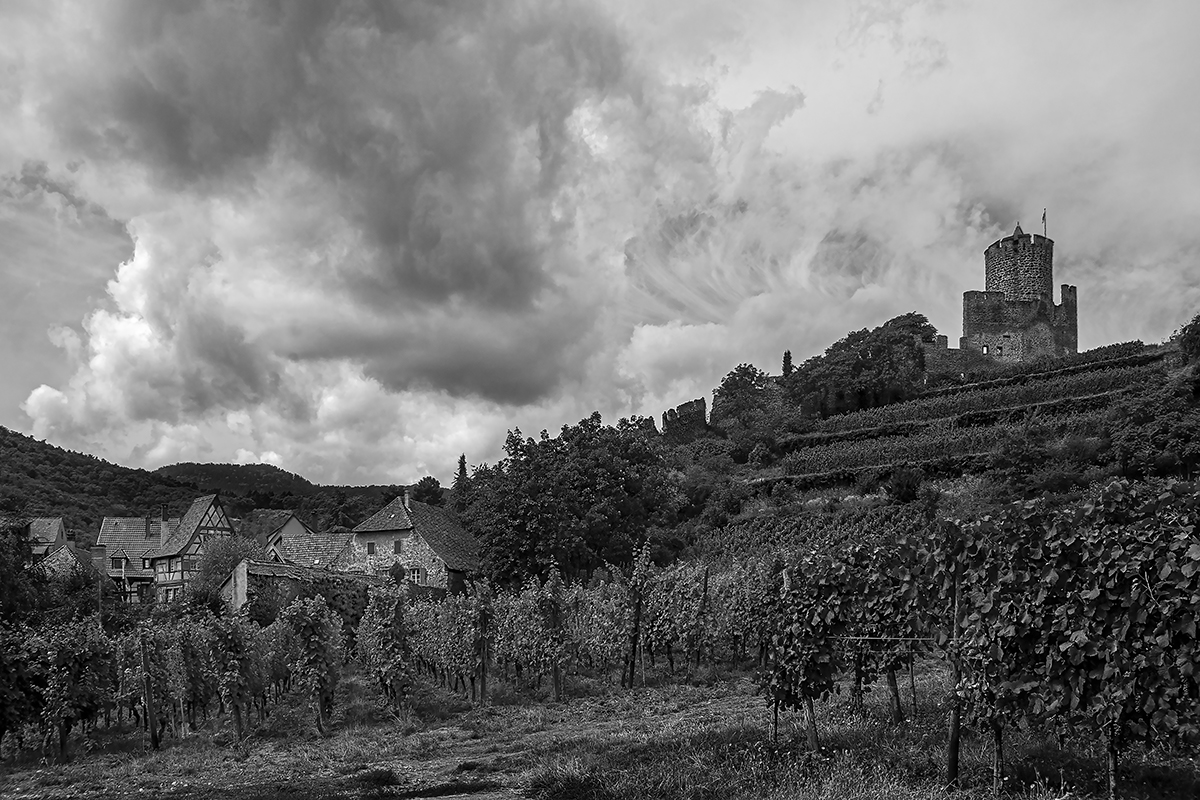 DSC_4956-Druck.jpg
