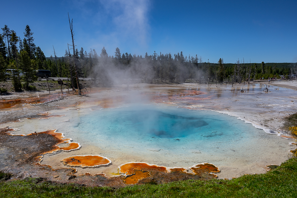 DSC_4957.jpg