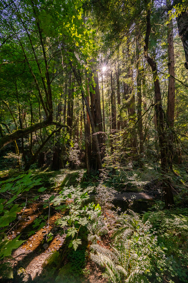 DSC_4960.jpg