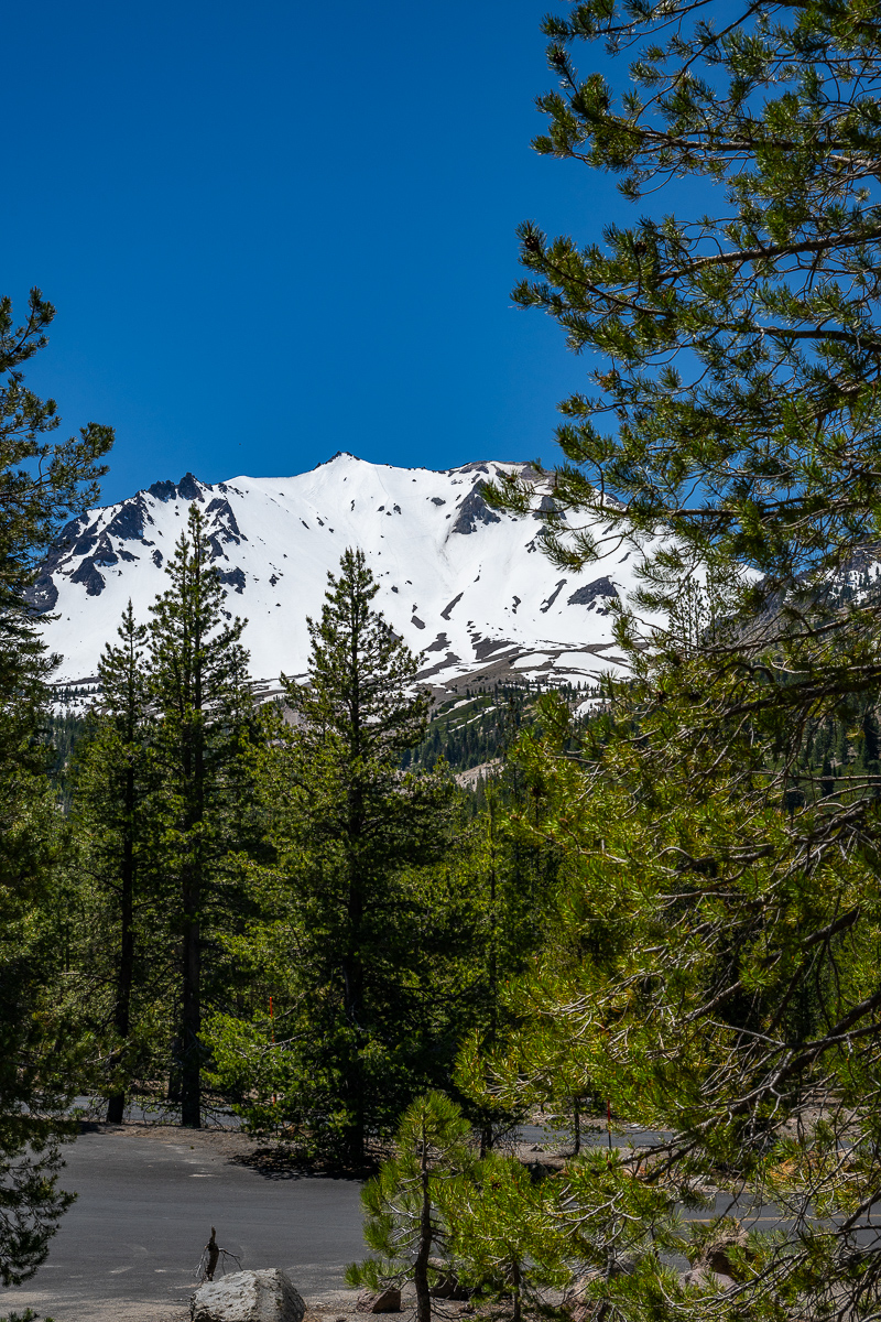 DSC_4978.jpg