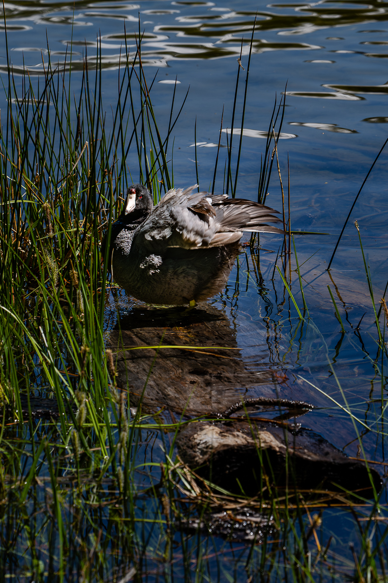 DSC_4993.jpg