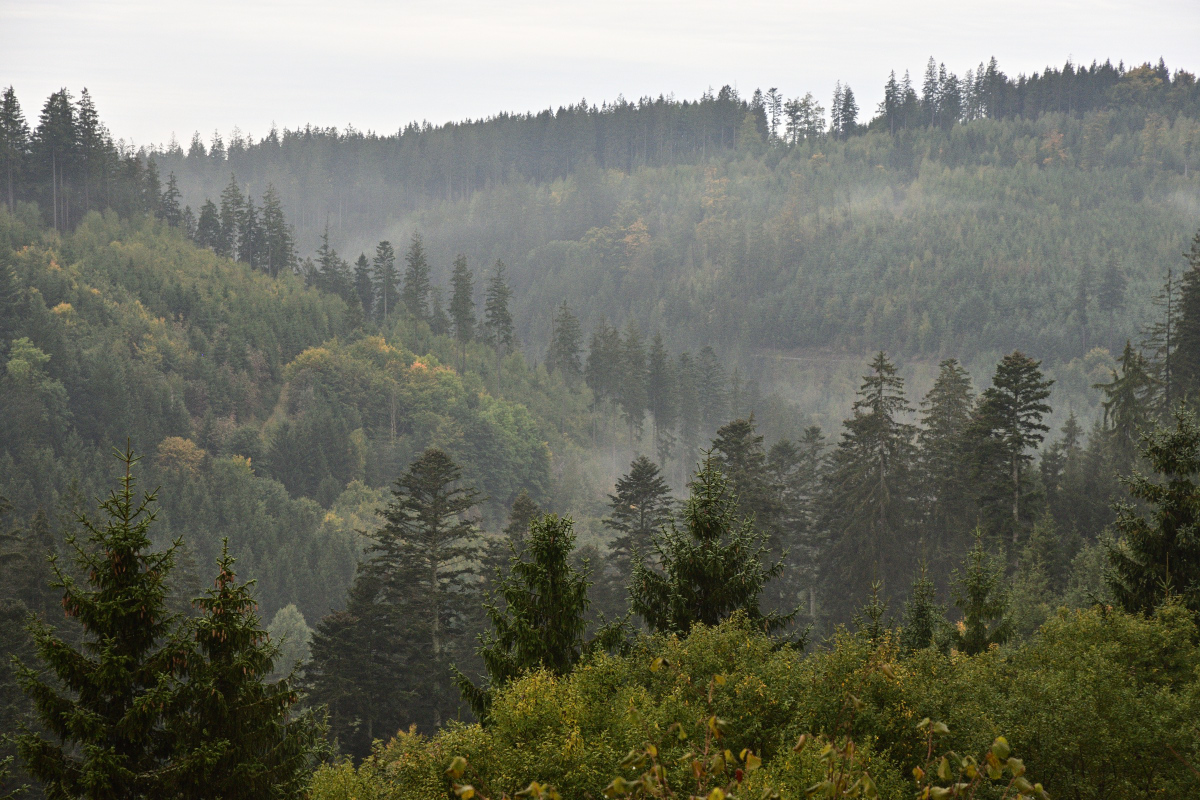 DSC_5002.JPG