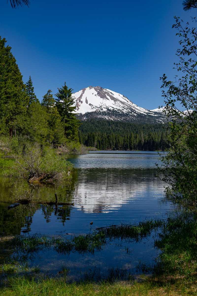 DSC_5005.jpg