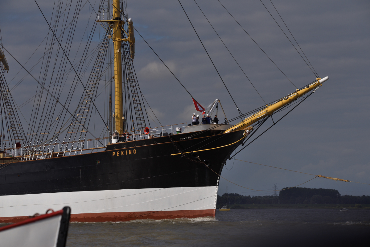 DSC_5021_00011.jpg