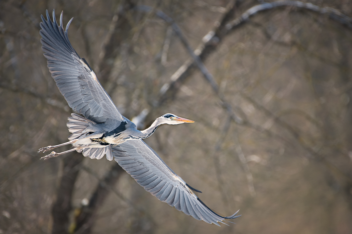 DSC_5031-Bearbeitet-1.jpg