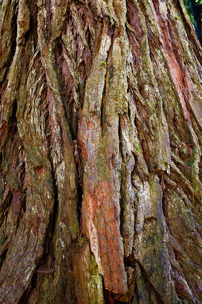 DSC_5036.jpg