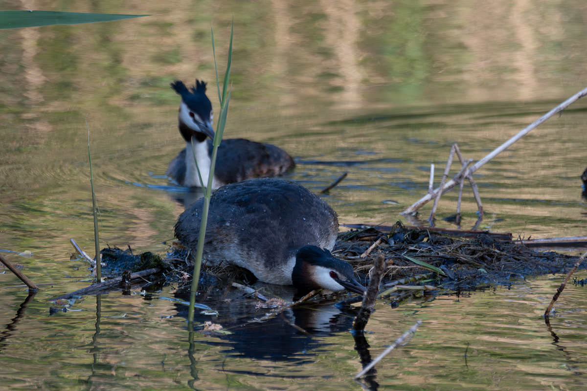 DSC_5038.jpg