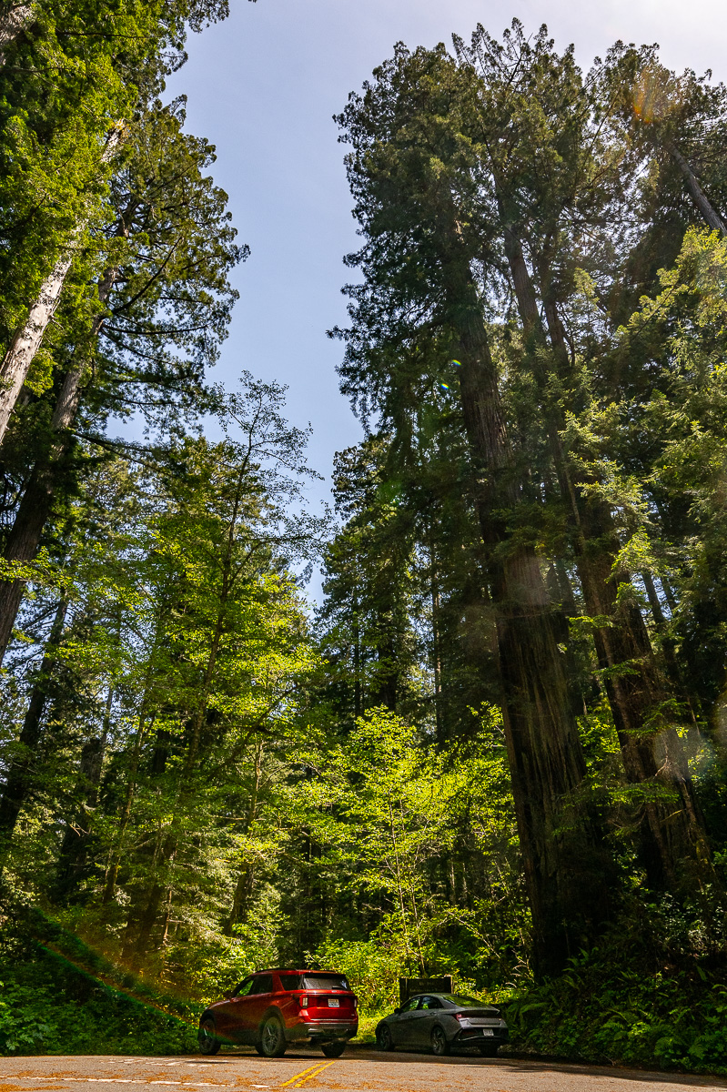 DSC_5069.jpg