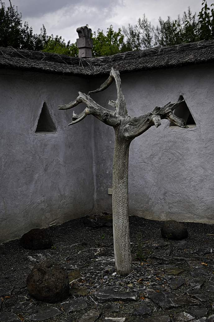 DSC_5071.jpg