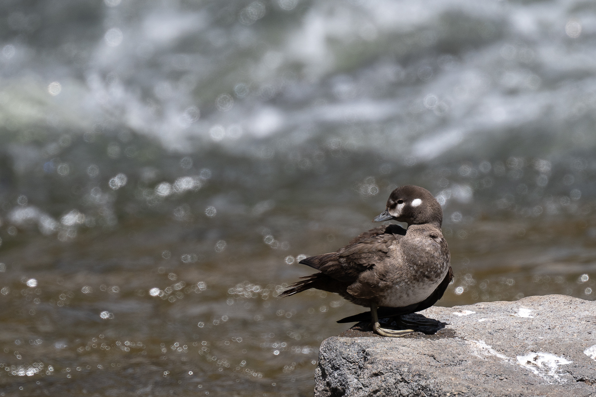 DSC_5073.jpg