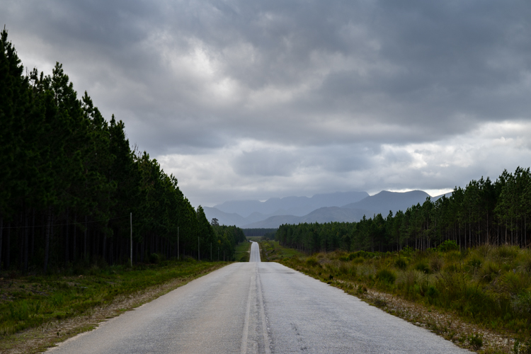 DSC_5078.jpg