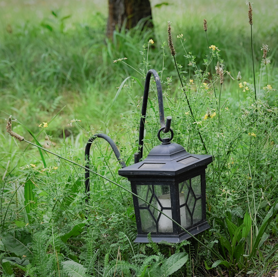 DSC_5079.jpg