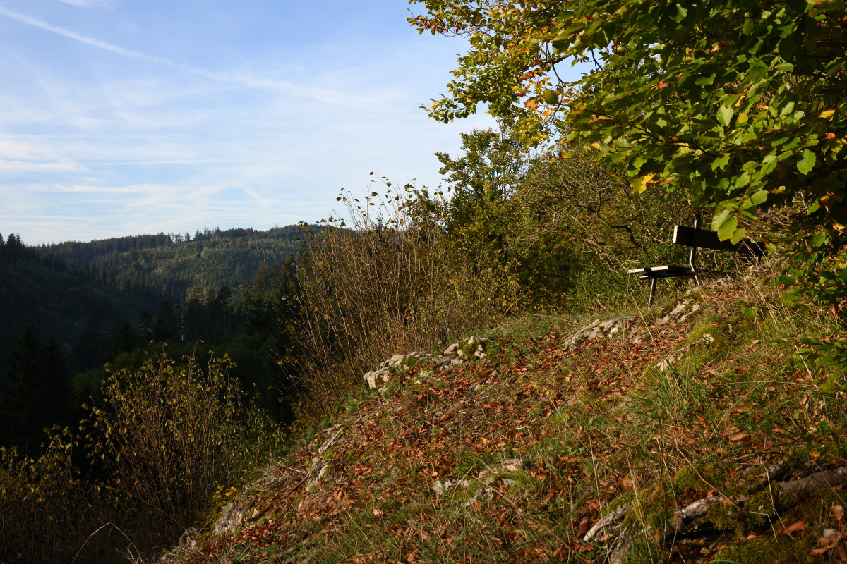 DSC_5079.JPG