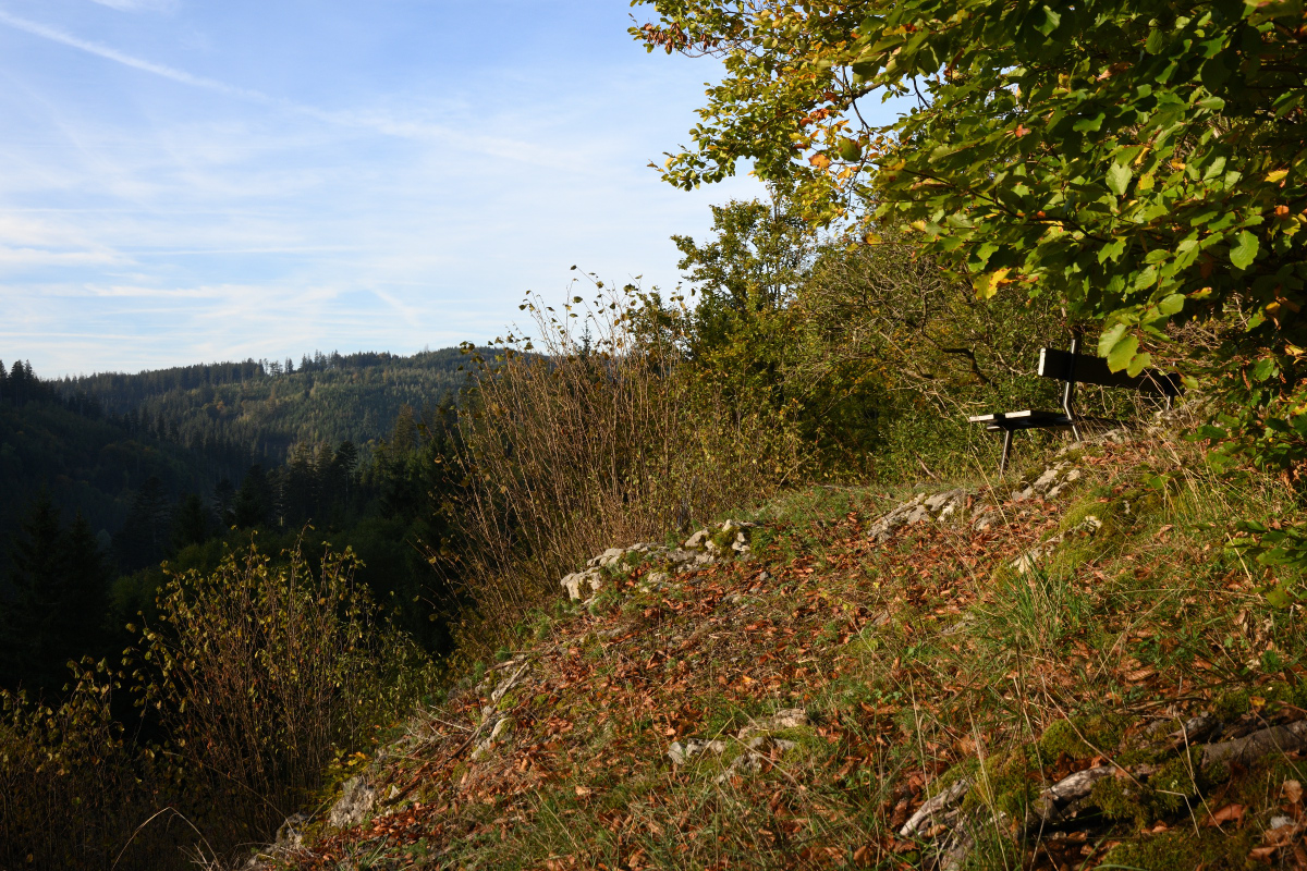 DSC_5079.JPG