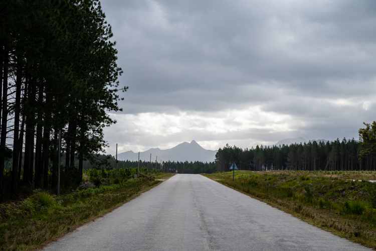 DSC_5086.jpg
