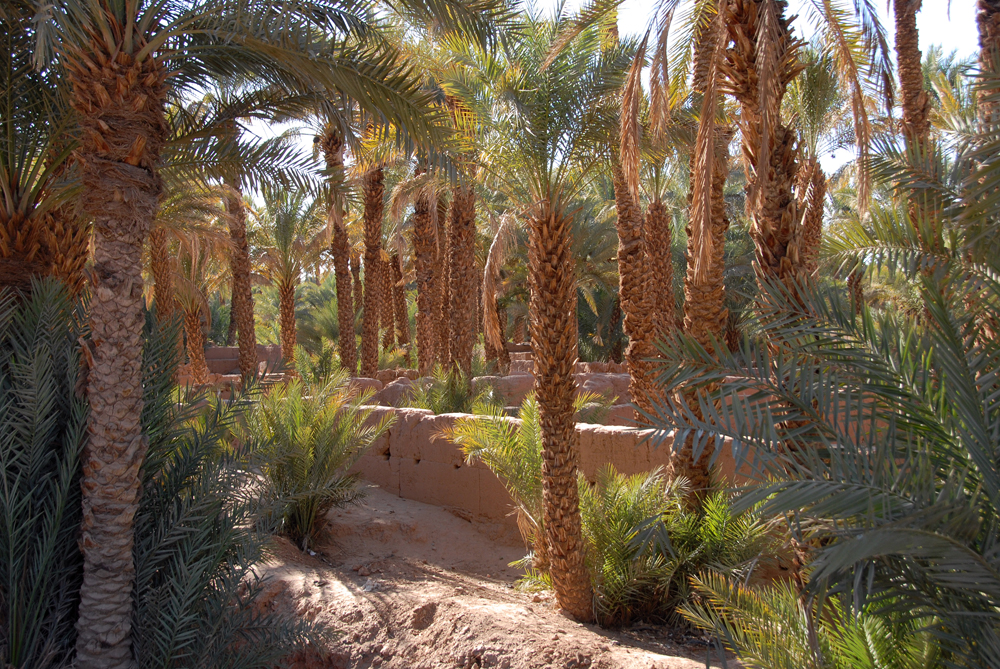 DSC_5097.jpg