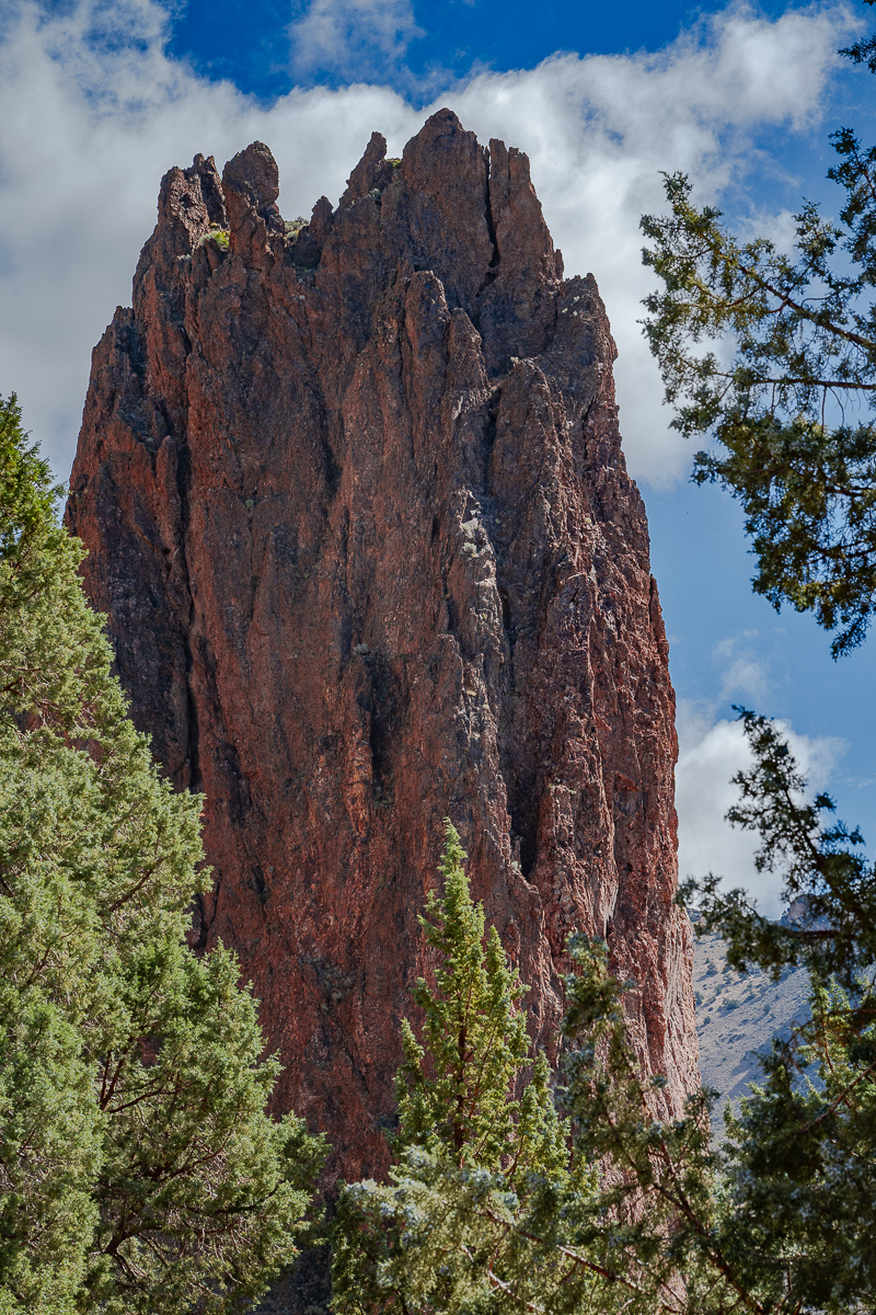 DSC_5120.jpg