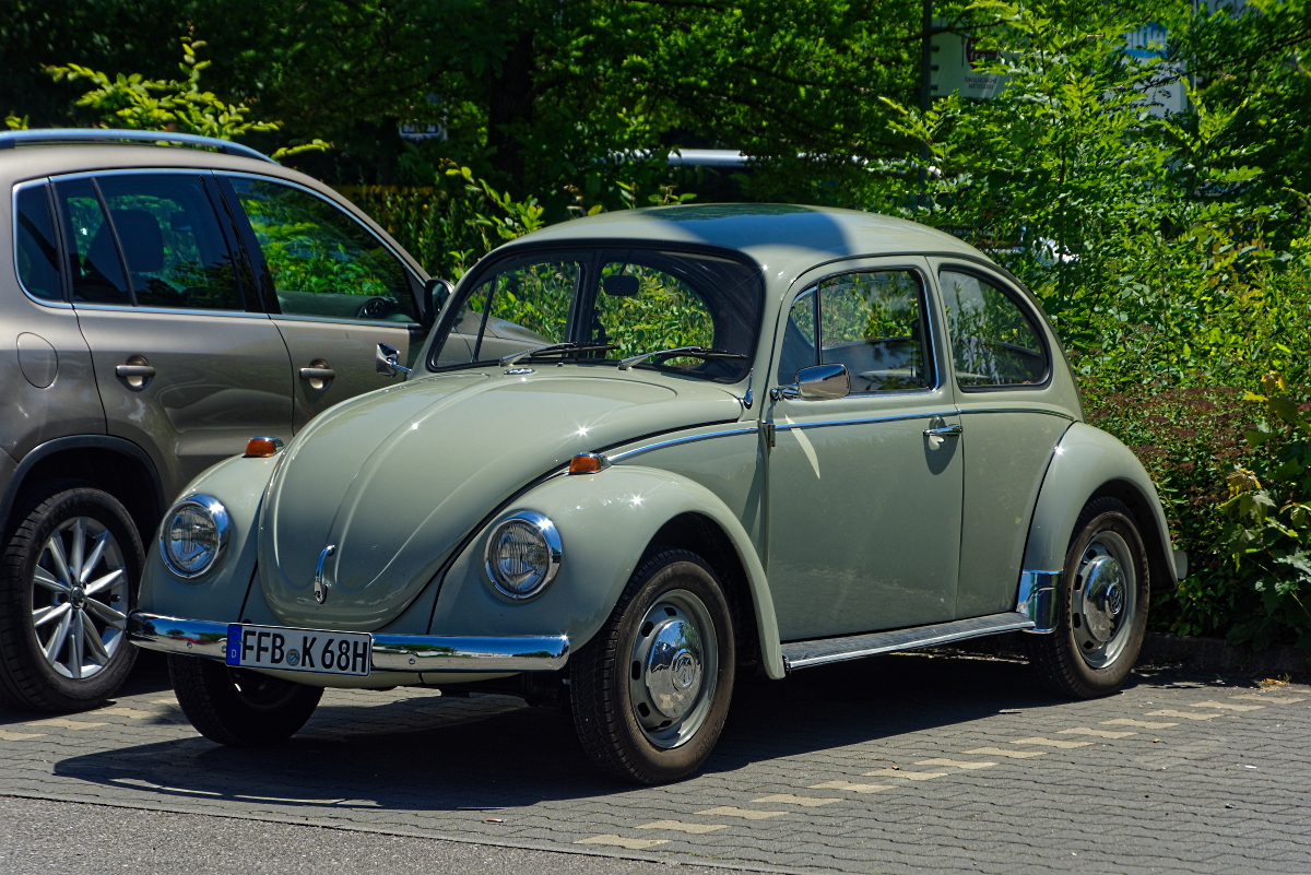 DSC_5120_DxOn.jpg