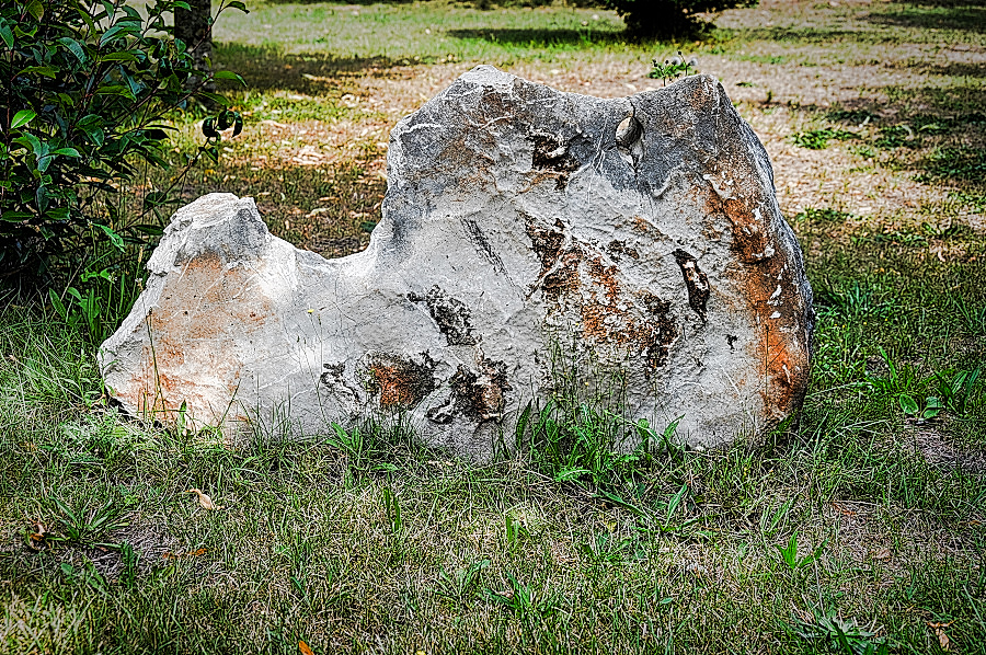 DSC_5124.jpg