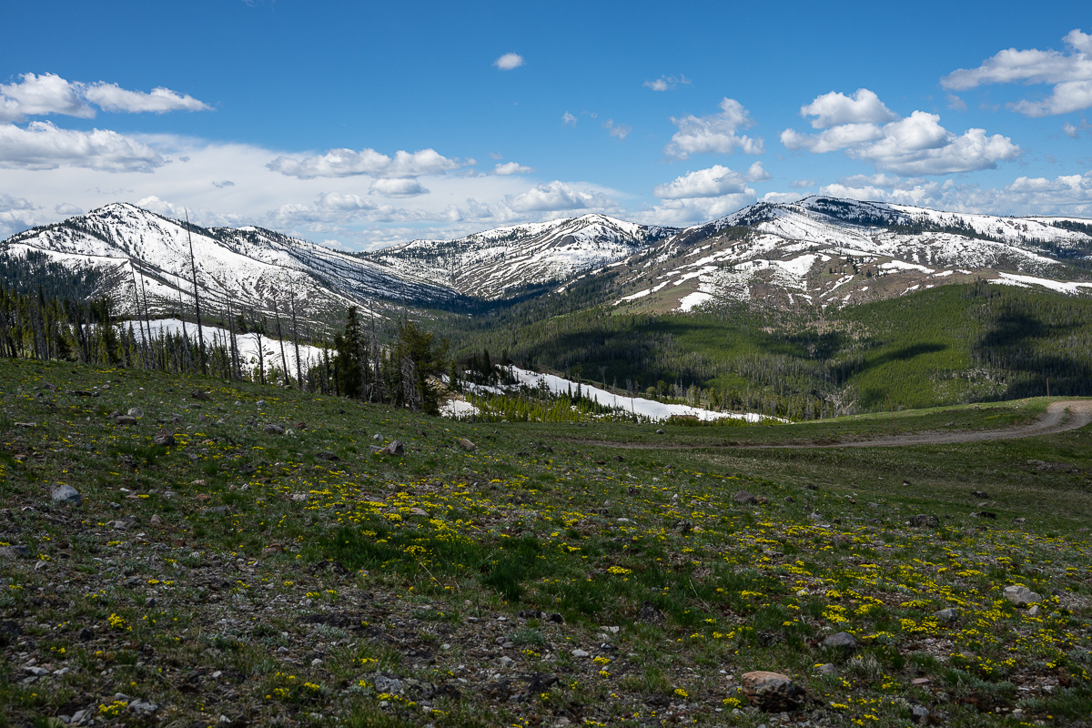 DSC_5127.jpg