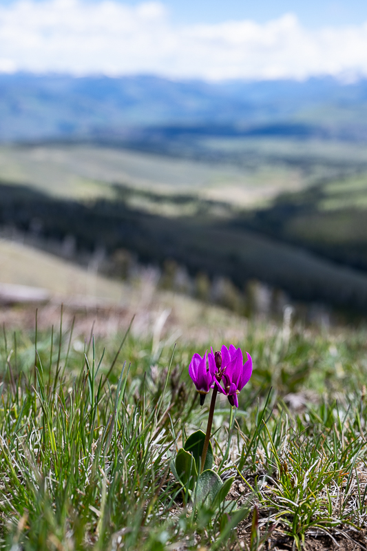 DSC_5135.jpg