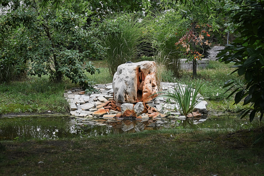 DSC_5149.JPG