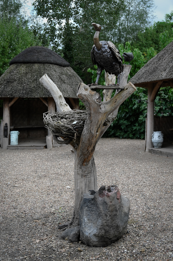 DSC_5165.jpg