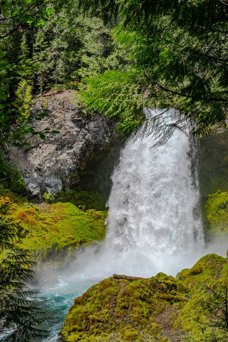 DSC_5169.jpg