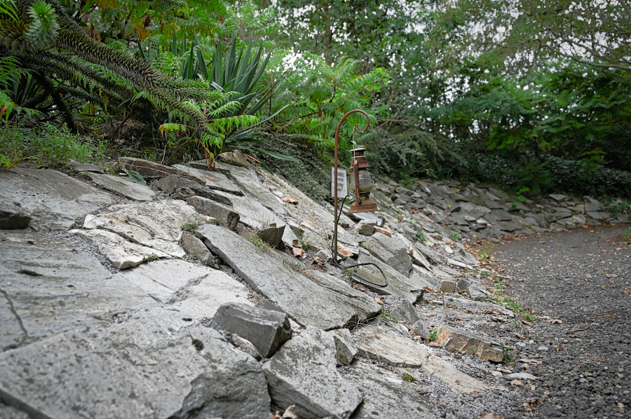 DSC_5172.jpg