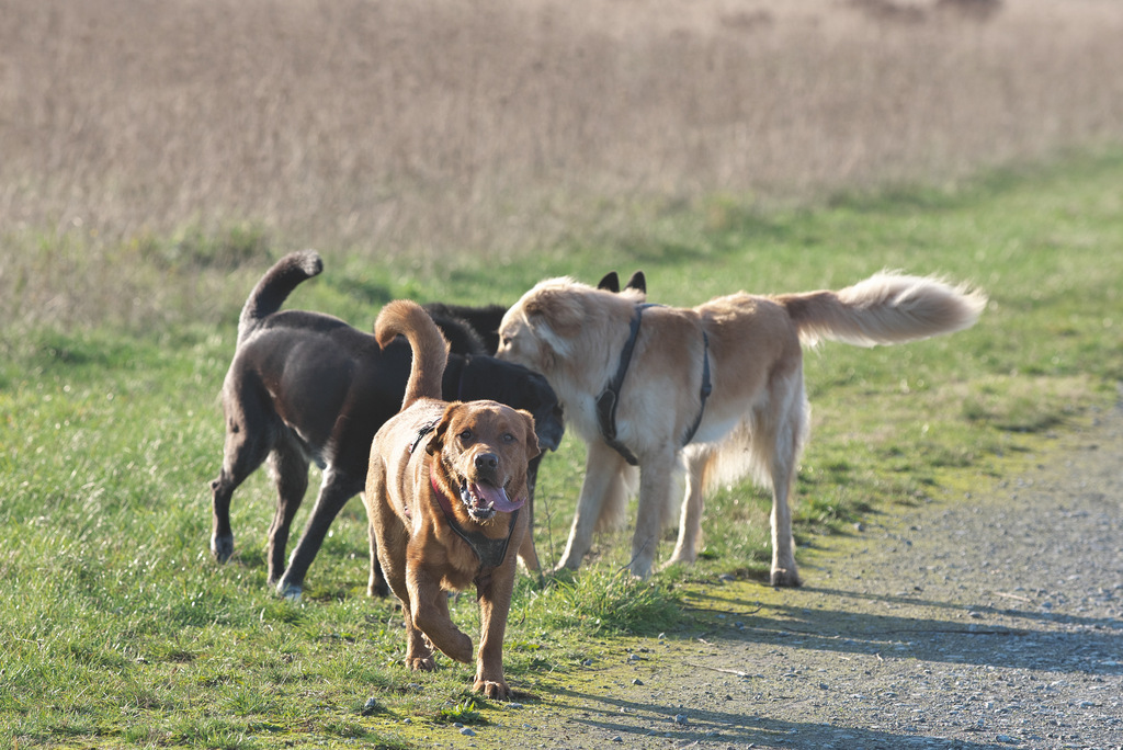 DSC_5202.jpg