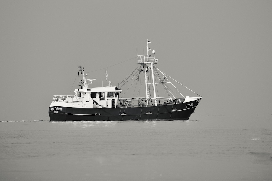 DSC_5209.jpeg