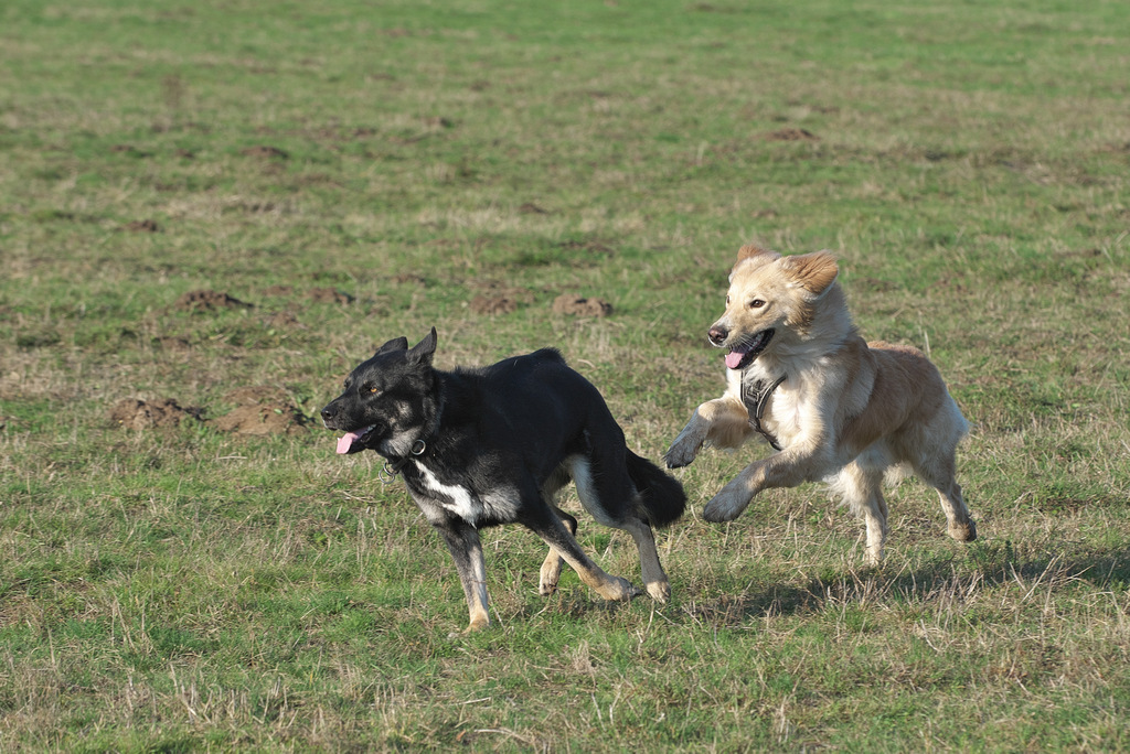 DSC_5213.jpg