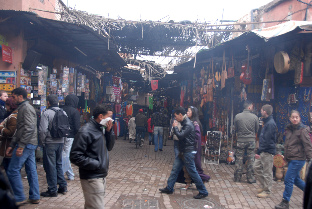 DSC_5216.jpg