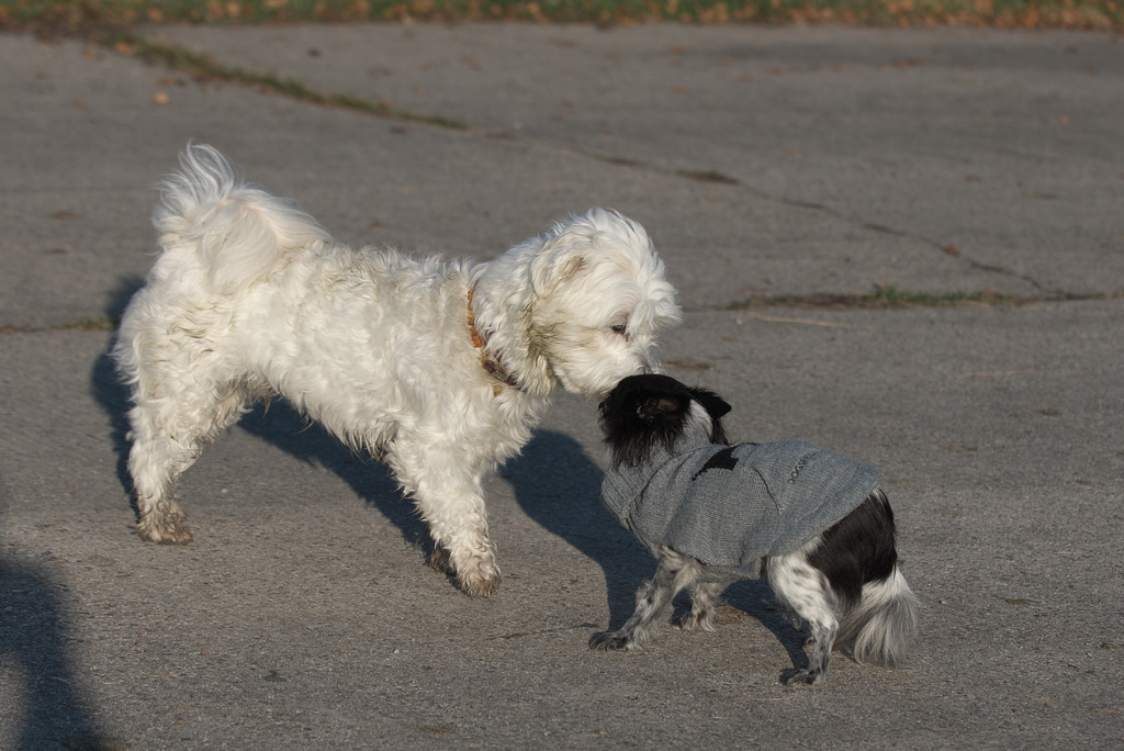 DSC_5242.jpg