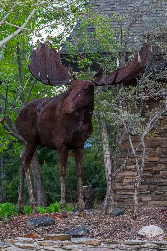 DSC_5246.jpg