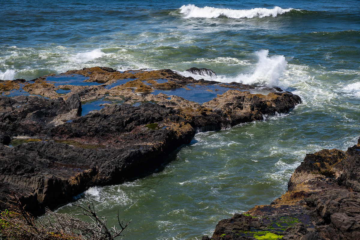 DSC_5247.jpg