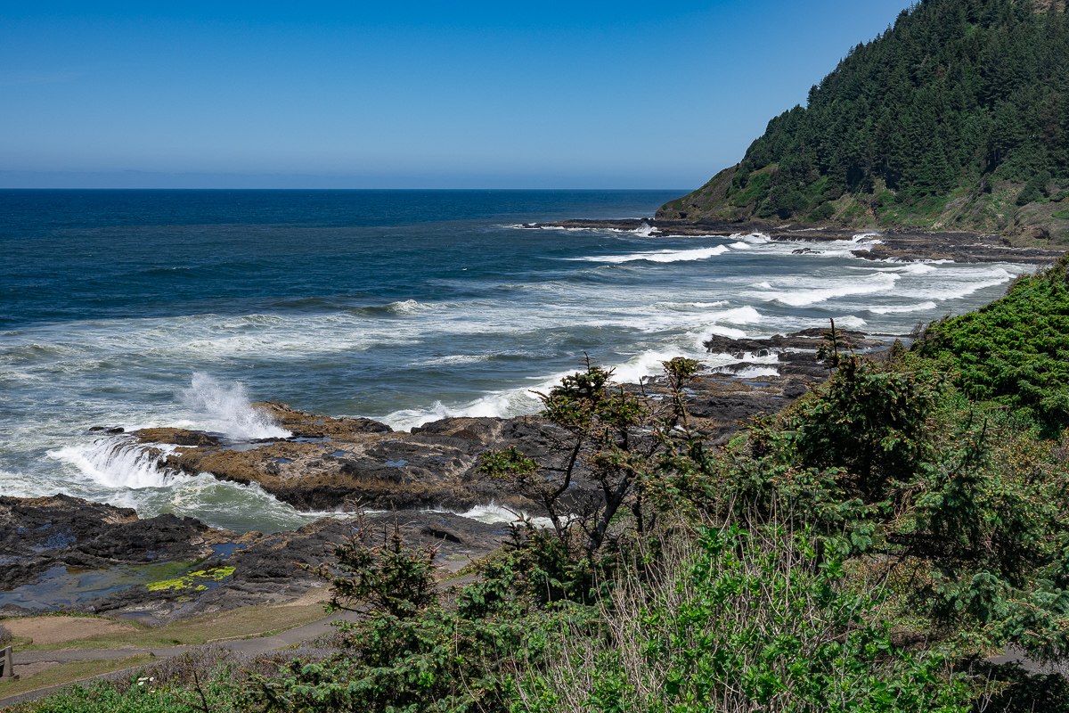 DSC_5250.jpg