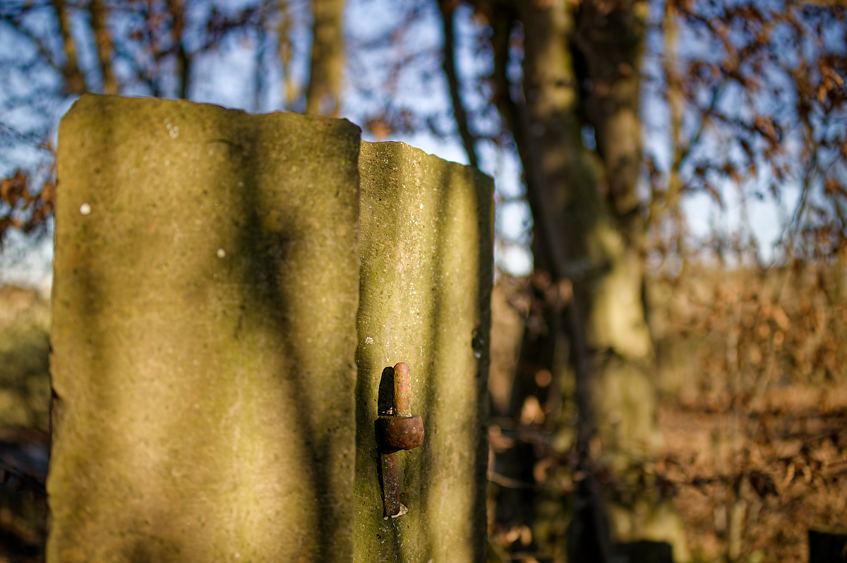 DSC_5255.jpg